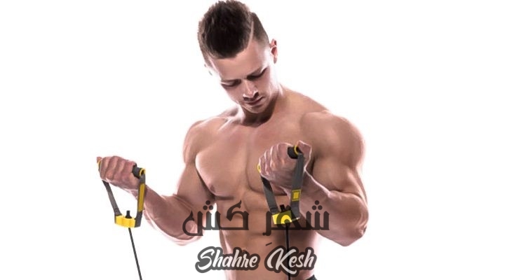 حرکت جلو بازو در حالت نشسته